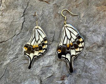 lightweight multicolor butterfly wing earring genuine gold stainless steel