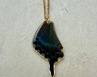 Gold plated stainless steel necklace butterfly wing real blue leaf chain