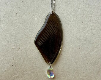 Real Butterfly Wing Choker Necklace Stainless Steel Silver Chain Drop