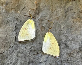 lightweight yellow butterfly wing earring genuine stainless steel gold