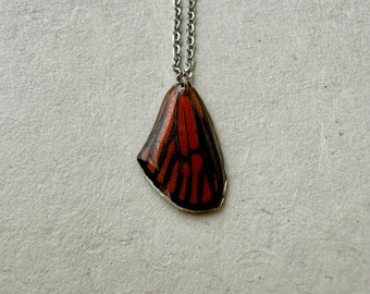 Real Red Butterfly Wing Choker Necklace Silver Stainless Steel Chain