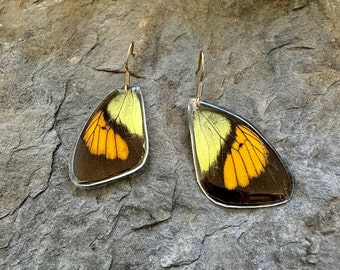 lightweight orange yellow butterfly wing earring genuine stainless steel gold