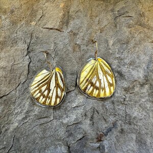 discreet yellow butterfly wing earring genuine stainless steel gold