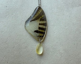 Genuine Yellow Trigre Butterfly Wing Choker Necklace Silver Stainless Steel Chain