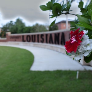 University of Louisiana at Lafayette (ULL) Sign