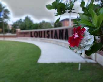 University of Louisiana at Lafayette (ULL) Sign