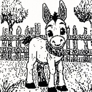 Baby Blanket Knitting Pattern | Donkey Farm Animal Design | Reversible Double Knit | Digital PDF