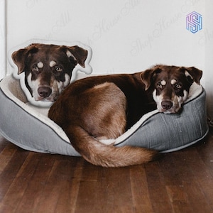 Custom Dog Photo Pillow, 3D Pet Pillow from Photo, Personalized Animal Shaped Pillow, Cat Shaped Throw Pillow, Double Printed Pet Pillow