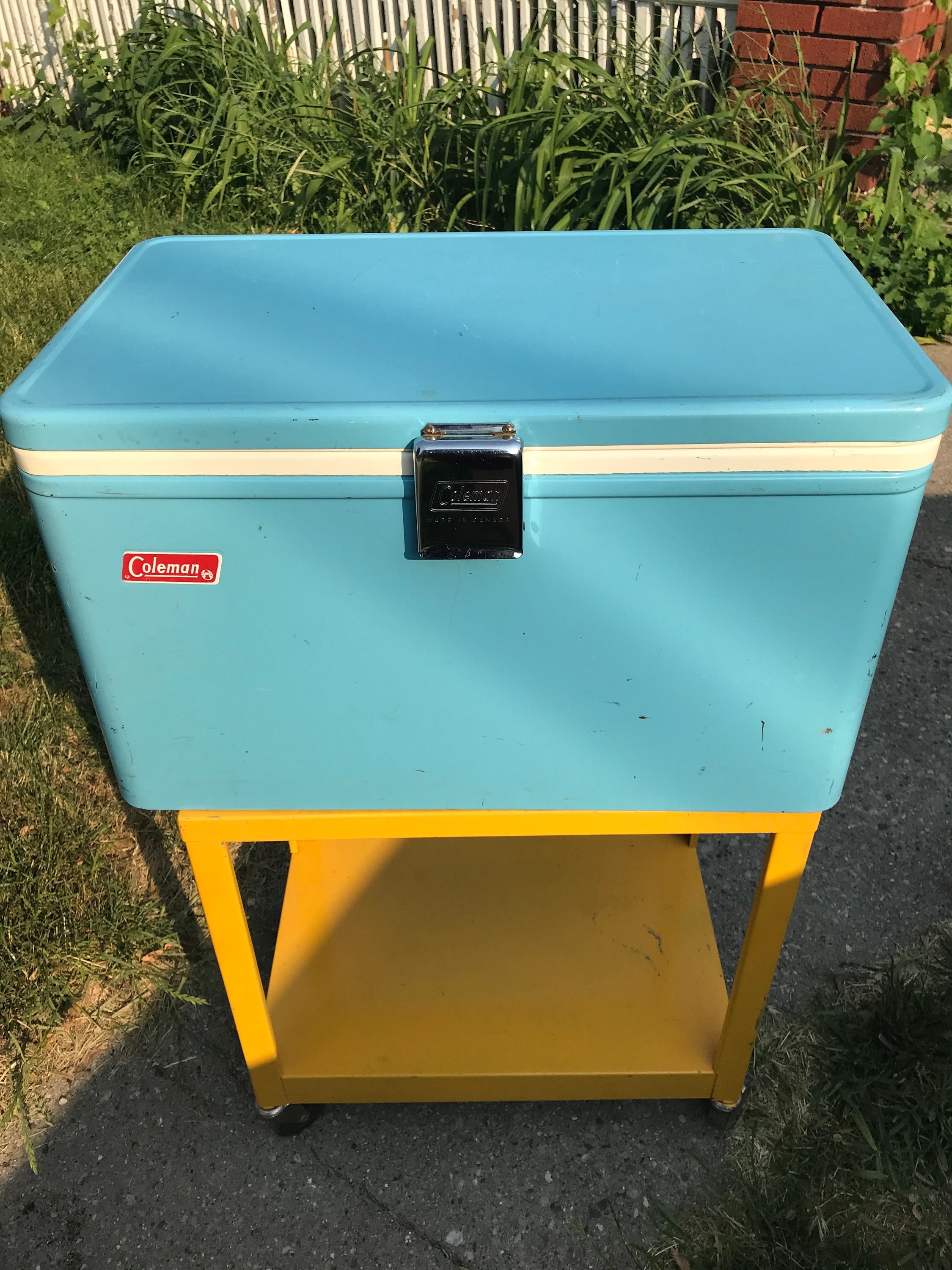 Coleman Blue 15.1L Cooler : : Sporting Goods