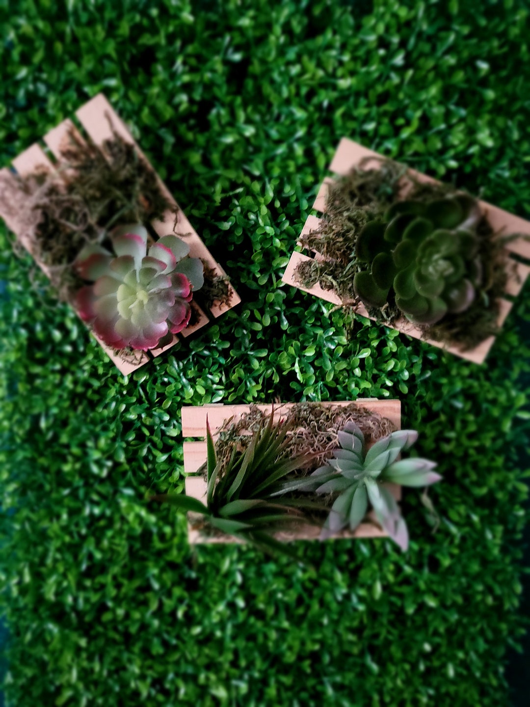 Artificial Succulent Wall Art Decor Kitchen Decoration Lounge Etsy