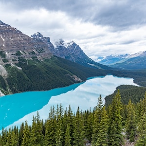 Peyto Lake, Banff Nationalpark | Reisefotografie | See Wandkunst | Kanada Fotografie | Drucke, Leinwand Fotodruck, Gerahmt, Metall