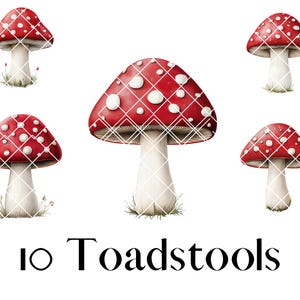 10 cliparts de champignons vénéneux, amanites vénéneux, usage Commercial autorisé