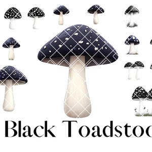 16 Clipart de champignon vénéneux noir gothique – PNG transparent