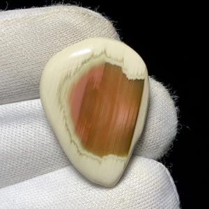 May include: A polished, teardrop-shaped gemstone with a creamy white exterior and a central band of pink and brown hues. The stone is held in a white glove, showcasing its smooth, glossy surface. The gemstone's unique color pattern is highlighted against the dark background.