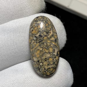 Natural Patterns Leopard Skin Jasper Cabochon, 30 x 15 x 6MM, One Of Kind Earthy Tones Vibrant Orbicular Jasper Loose Gemstone. 15.6 carat.