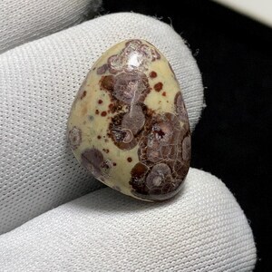 Può includere: Una pietra lucida, di forma ovale, con una base color crema e intricati motivi di macchie e disegni circolari marrone scuro e marrone rossiccio. La pietra è liscia e sembra essere una gemma naturale o un campione minerale.