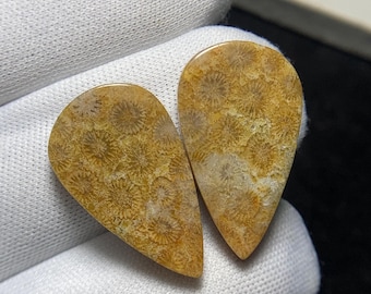 Superb Quality Natural Fossil Coral Pair Cabochon, Beautiful Matching Pairs Loose Gemstone for Making Earring. 26 x 15 x 5MM, 28.6 Carat