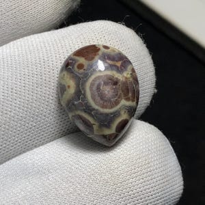 May include: A polished gemstone with a teardrop shape. The stone features a pattern of concentric circles and irregular shapes in shades of brown, purple, and cream. The gemstone is held against a white fabric background.