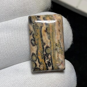 Natural Patterns Leopard Skin Jasper Cabochon, 26 x 16 x 7MM, One Of Kind Earthy Tones Vibrant Orbicular Jasper Loose Gemstone. 19.6 carat.