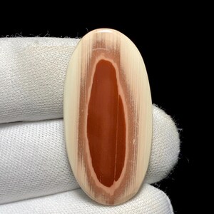 May include: Oval-shaped gemstone with a polished surface. The stone features a central band of reddish-brown color, surrounded by creamy white and light brown bands, creating a wood-grain effect. The gemstone is held against a white fabric.