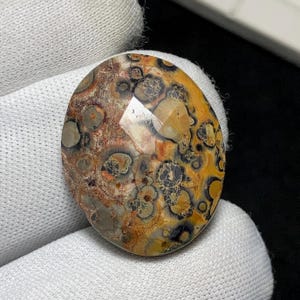 Natural Leopard Skin Jasper Rose cut Cabochon, 27 x 21 x 7MM, One Of Kind Earthy Tones Vibrant Orbicular Jasper Loose Gemstone. 24.2 carat.