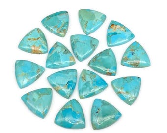 May include: A collection of turquoise gemstones, each cut into a triangular shape. The stones display a range of blue-green hues with brown and gold veining. The gemstones are arranged in a circular pattern against a white background.