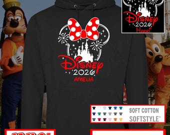 Disney 2026 Hoodie AGE 1-99 - Can Be Personalised - FREE Delivery