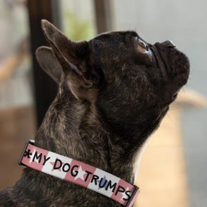 Funny USA-themed Dog Collar - Patriotic Red White Stars - Adjustable Pet Accessory - My Dog Trumps Your Dog - Unique Gift for Dog Lovers immagine 1