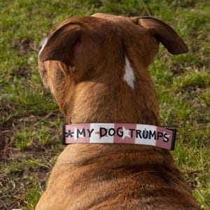Funny USA-themed Dog Collar - Patriotic Red White Stars - Adjustable Pet Accessory - My Dog Trumps Your Dog - Unique Gift for Dog Lovers immagine 4