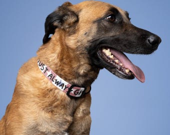 Funny USA-themed Dog Collar - Patriotic Red White Stars - Adjustable Pet Accessory - Must Always Give Affection - Unique Gift for Dog Lover