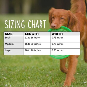 Pu&ograve; includere: Tabella delle taglie per prodotti per cani, con misure in pollici. Taglie: Piccola (30-41 cm di lunghezza, 1,9 cm di larghezza), Media (41-51 cm di lunghezza, 1,9 cm di larghezza) e Grande (51-66 cm di lunghezza, 1,9 cm di larghezza).