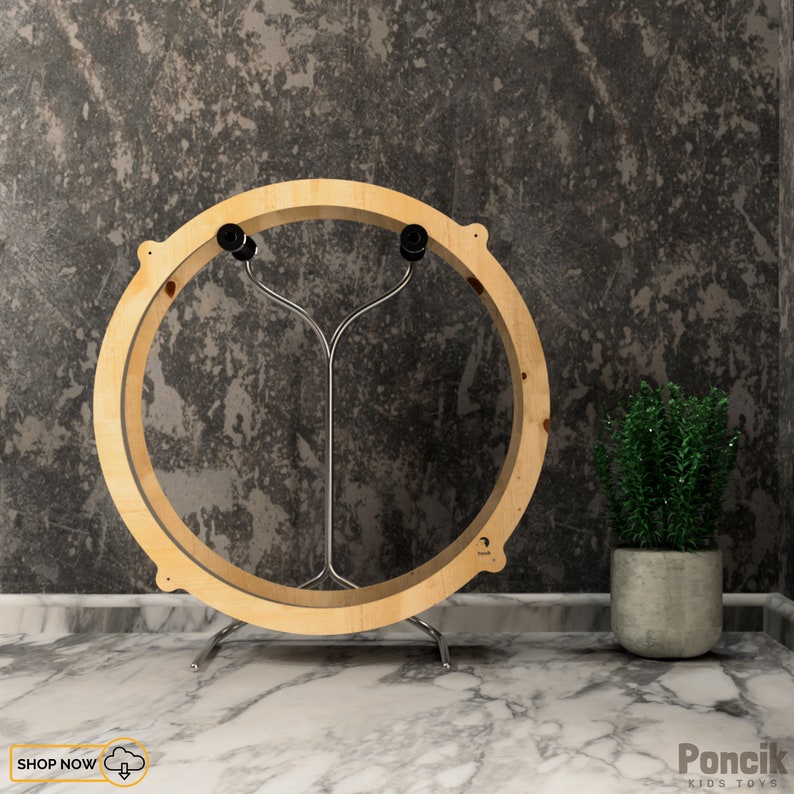 Rueda para correr para gatos Plan digitalRueda de ejercicio para gatos