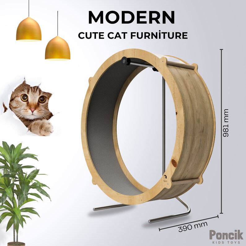 Cat Running Wheel Plancat Exercise Wheel Running Spinning Etsy