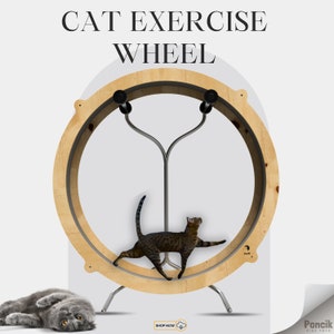 Cat Running Wheel Digital Plan-Cat Exercise WheelRunning, Spinning and Scratching Fun, Cat Treadmill with Carpeted Runway, DWG,DXF,PDF Plan image 2