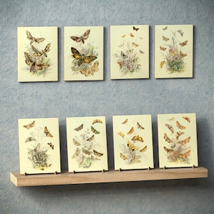 May include: Eight rectangular prints featuring vintage butterfly illustrations in shades of brown, yellow, and green. The prints are displayed on a wooden shelf and against a light blue background.