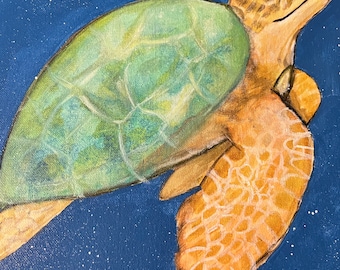 Sea turtle