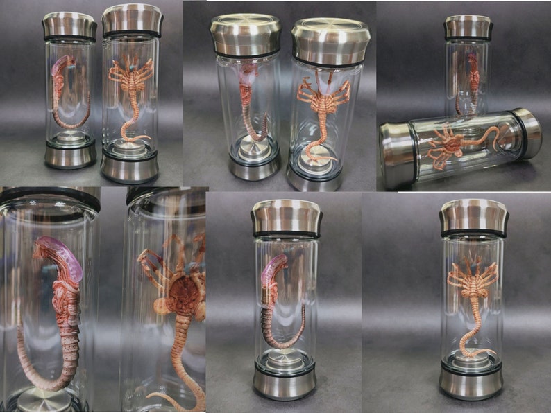 Alien Jar Xenomorph Specimen Facehugger Embryo Glass Jar Movie Prop ...