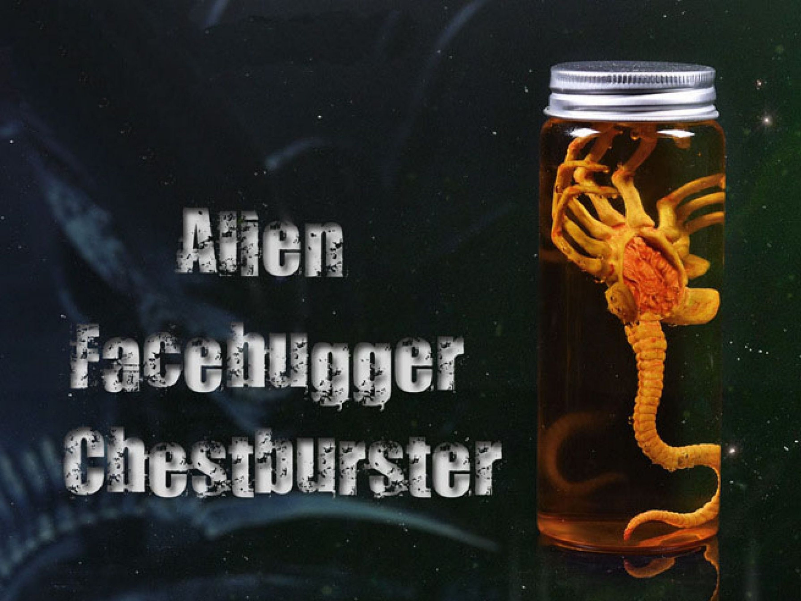 Alien Jar Xenomorph Specimen Facehugger Embryo Glass Jar Movie Etsy UK