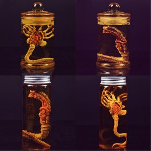 Alien Jar Xenomorph Specimen Facehugger Embryo Glass Jar Movie Prop ...