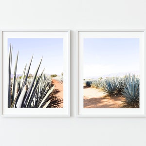 Set of 2 Mexico Prints - Campo de Agave - Agave Field - Jalisco, Mexico - Mexican Art - Poster - Two Unframed Photographs - Digital Download