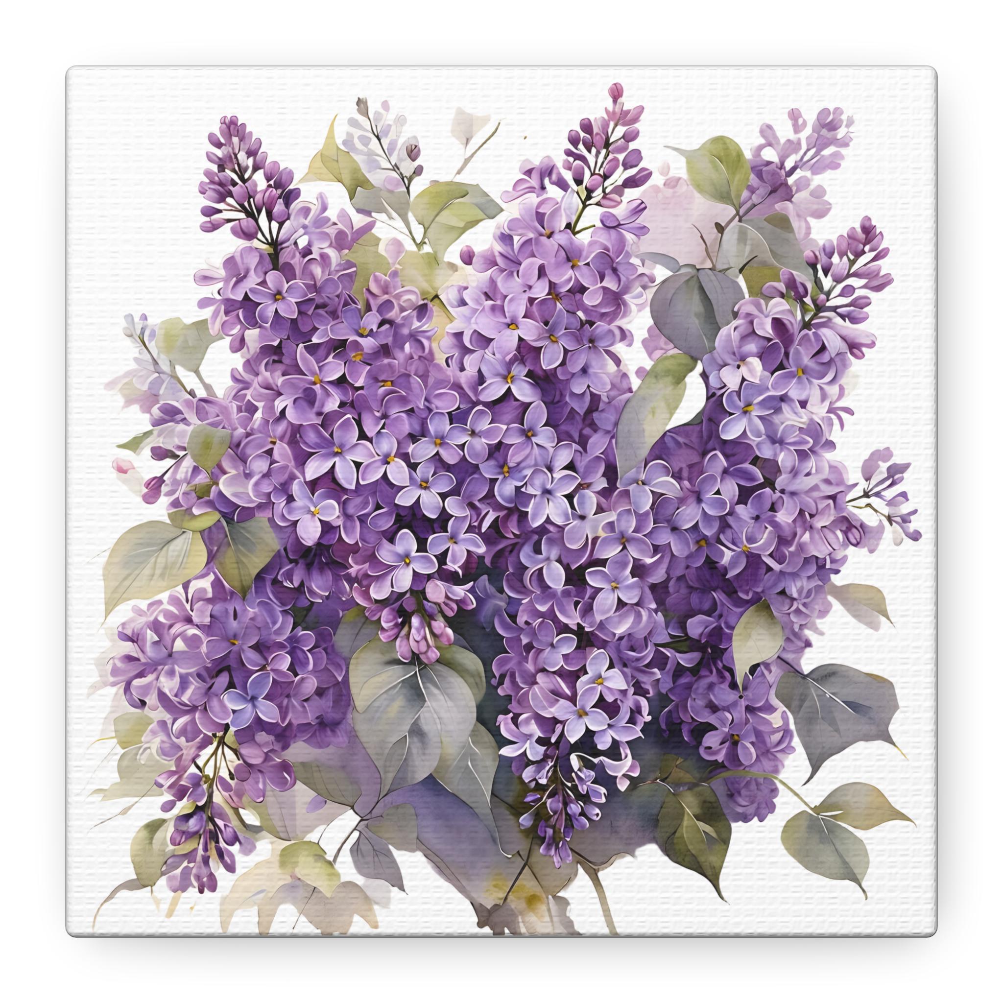 Lilac Lavender Purple Wall Art Matte Canvas Stretched Lilacs Flower Art ...