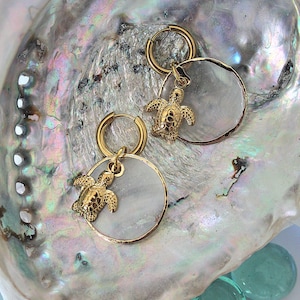 Könnte beinhalten: Ein Paar goldfarbene Creolen mit einem kleinen, strukturierten Meeresschildkröten-Anhänger an jedem Ring. Die Ohrringe haben ein kreisförmiges Design mit einer polierten metallischen Oberfläche und zeigen ein detailliertes Muster auf den Schildkröten.