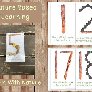 Cartões de atividades numéricas, 1-20, aprendizagem baseada na natureza, pré-escola, jardim de infância, escolas florestais, educação domiciliar, Montessori, Reggio Emilia