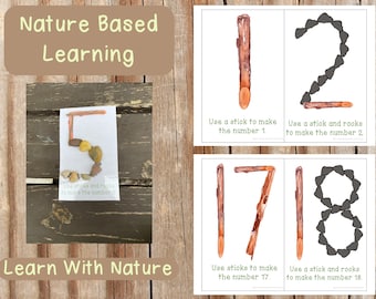 Tarjetas de actividades numéricas, del 1 al 20, aprendizaje basado en la naturaleza, preescolar, jardín de infantes, escuelas forestales, educación en el hogar, Montessori, Reggio Emilia