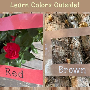 Visores de colores de la naturaleza para búsqueda de colores, combinación e identificación de colores, preescolar, jardín de infantes, educación en el hogar y Montessori