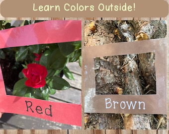 Visores de colores de la naturaleza para búsqueda de colores, combinación e identificación de colores, preescolar, jardín de infantes, educación en el hogar y Montessori