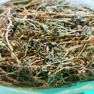 Jamaican Dried Cerasee