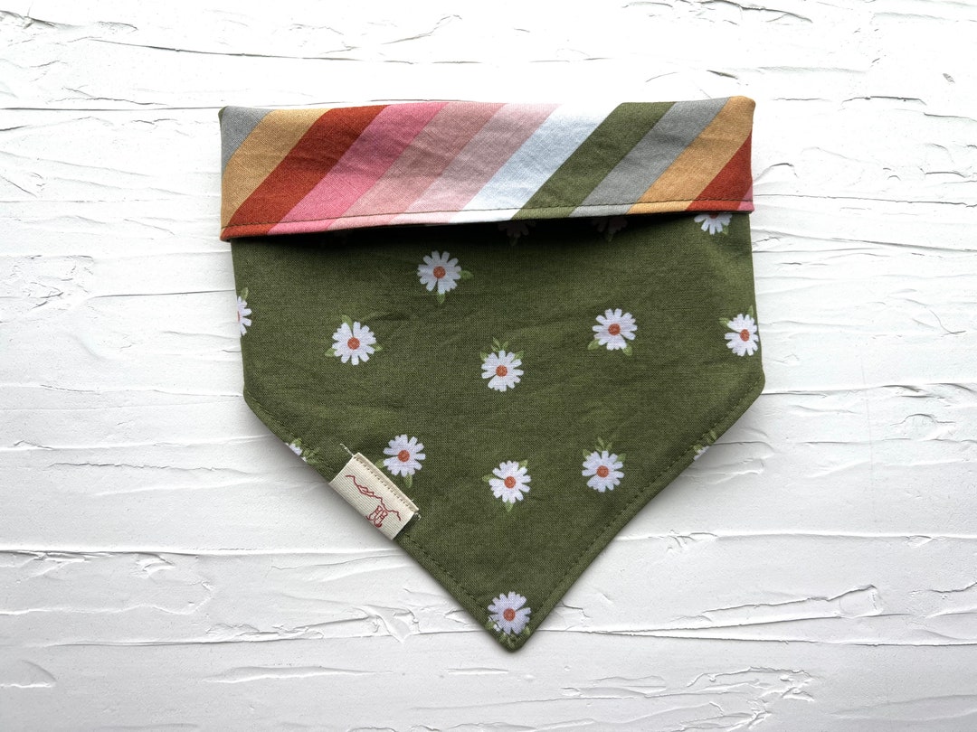 Reversible Dog Bandana, Spring Floral & Stripe, Dog Bandana Set, Daisy