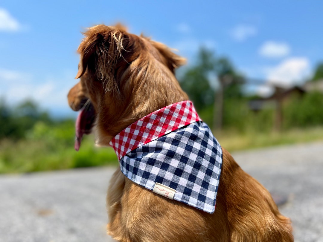 Reversible Patriotic Dog Bandana, Red Stripe, Blue Stars, 4th of July, USA, Plaid, Blue, Red Dog