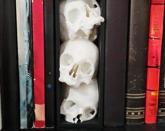 May include: A black rectangular display case holds three white skull sculptures. The skulls are stacked vertically, with visible details of the eye sockets, nasal cavity, and teeth. The display case is positioned between a collection of books.